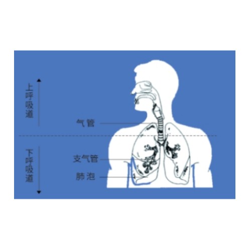 空氣壓縮式霧化優勢