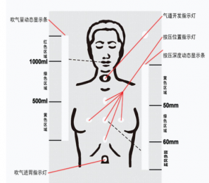 朗逸器械百科：介紹挪度心肺復(fù)蘇模擬人171-01260