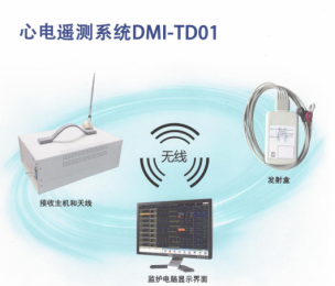 心電遙測系統(tǒng)DMI-TD01：便攜設計、多功能報警設置