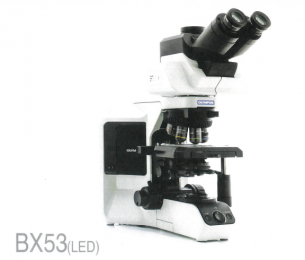 BX53(LED)顯微鏡：準確而清晰的體驗